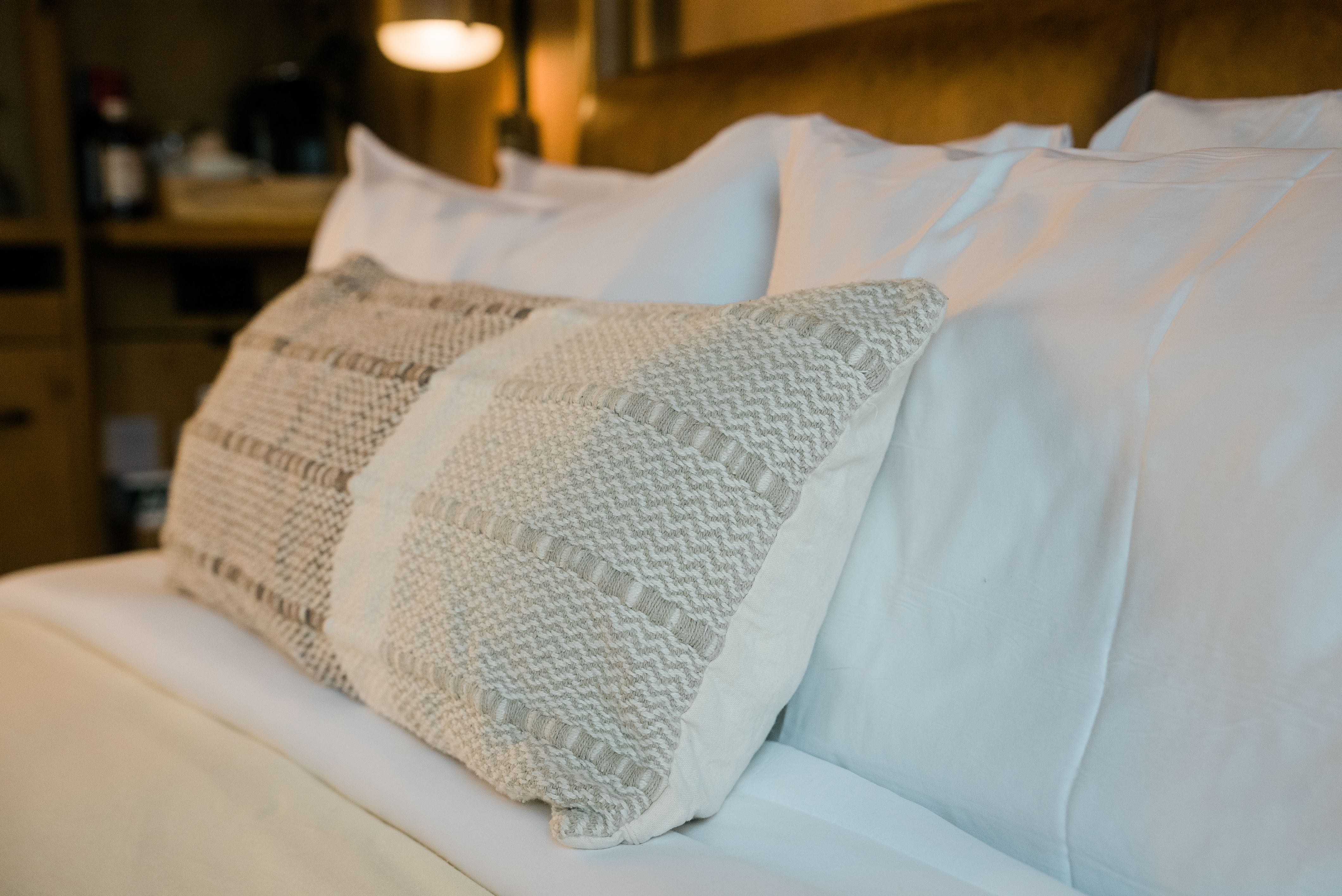 Experience 1 Hotel Nashville The Dog Friendliest Luxury Hotel in Tennessee